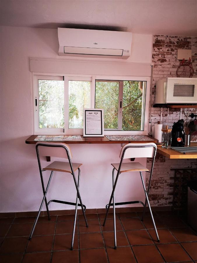 Casa Martinez Studios & Chambre D'Hotes A 3 Kms De Montserrat Valencia Montroy Εξωτερικό φωτογραφία