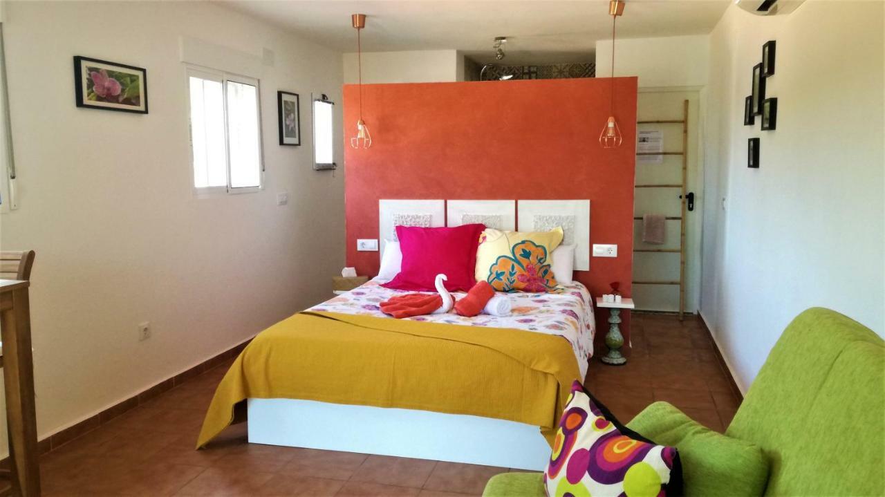 Casa Martinez Studios & Chambre D'Hotes A 3 Kms De Montserrat Valencia Montroy Εξωτερικό φωτογραφία